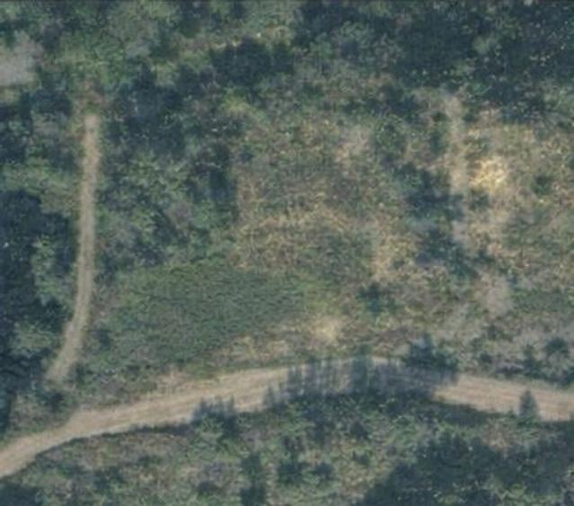 Teren Construcții intravilan de 6200 mp, în Tăuții-Măgherăuș