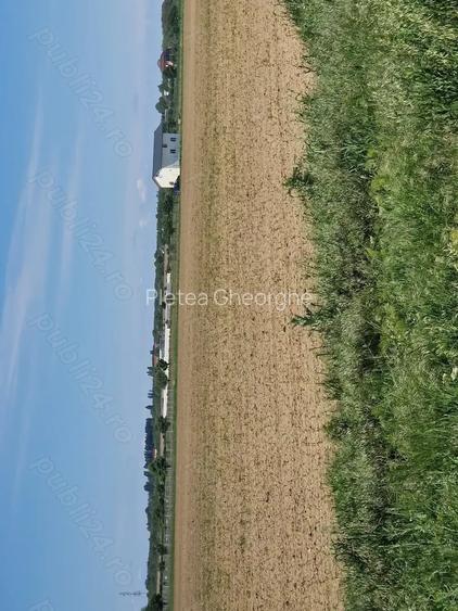 Propr. vand sub pretul pietei, 500 ,1000, sau 1500 mp intravilan , Snagov, coada lacului