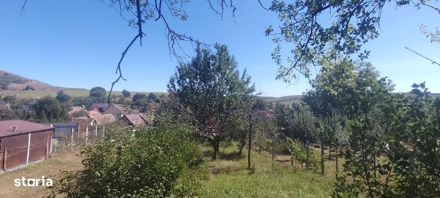 De vanzare casa cu 5 camere, Agnita, str. Horea - 3