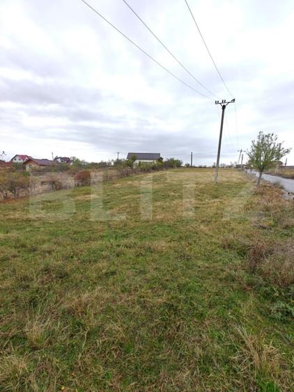 Teren Construcții intravilan de 5000 mp, în Băbana