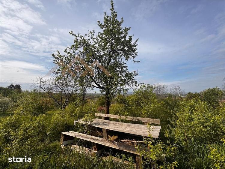 Casă cu 4 camere cu Teren 2341 Mp în Cicârlău