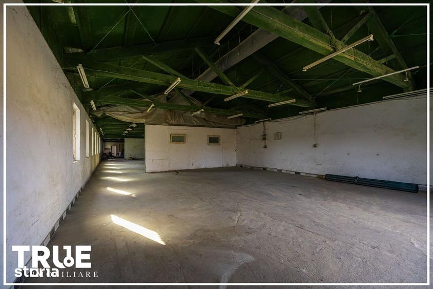 Spațiu comercial, de 474 mp, în Vânători