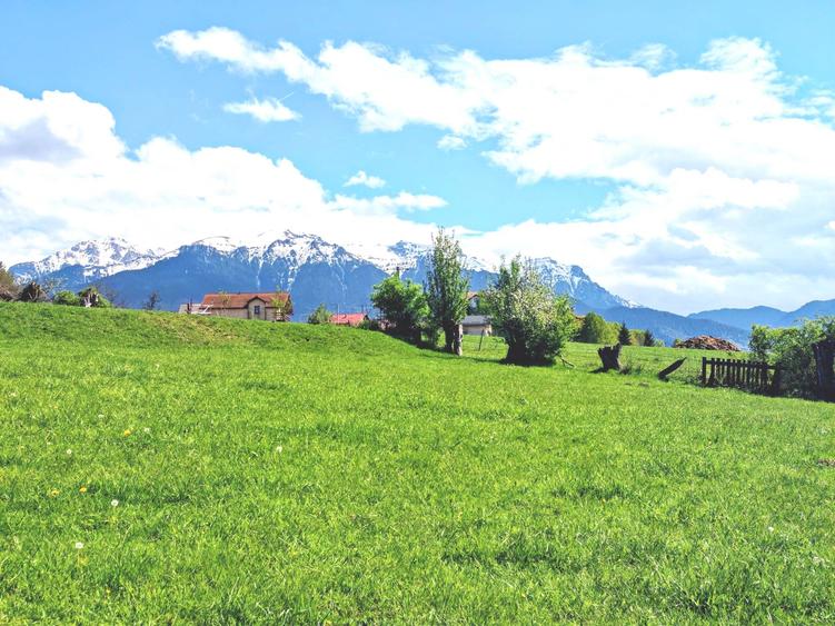 Teren Construcții intravilan de 5783 mp, în Bran