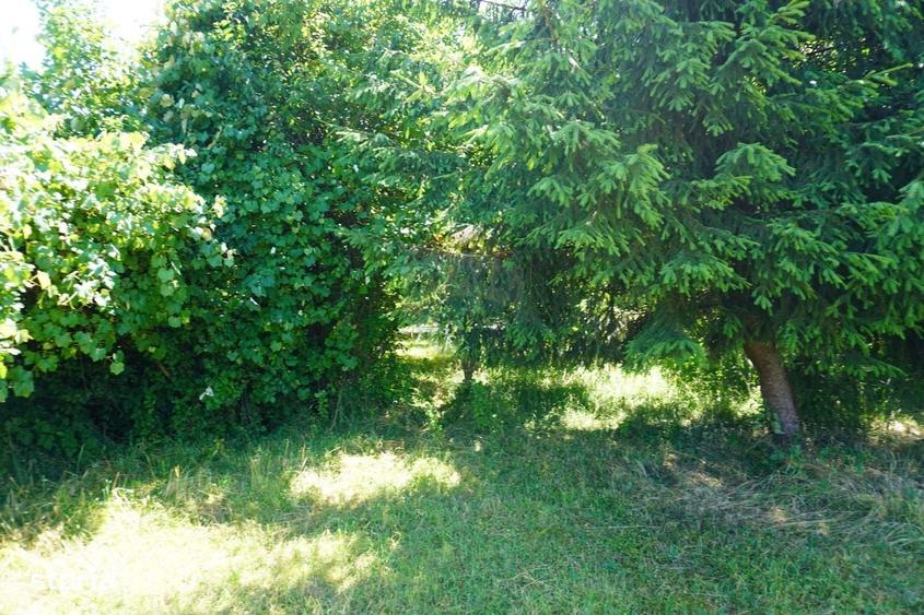 Casă cu 2 camere cu Teren 1958 Mp în Tisa