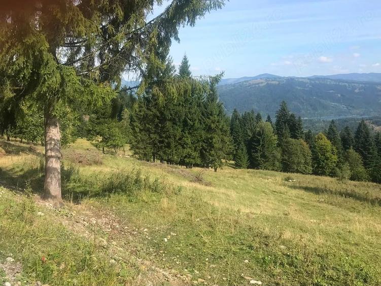Teren de 4000 mp, în Durău