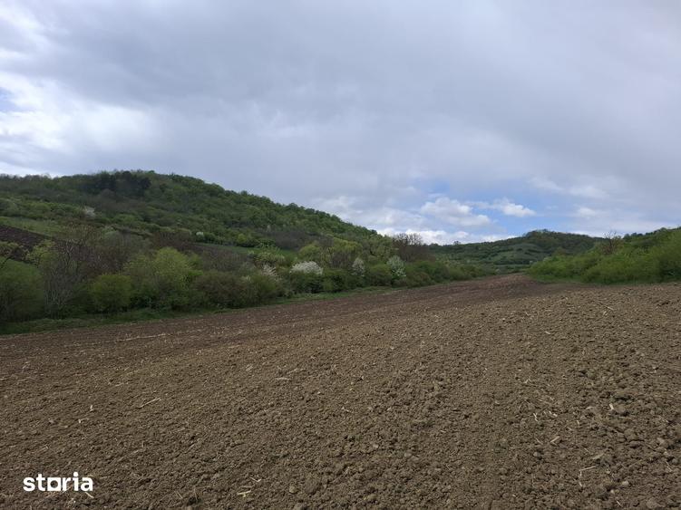 Teren extravilan arabil, utilitati aproape - Sibiu - Gusterland - 2