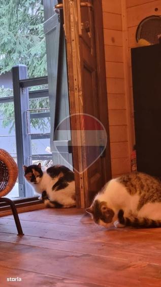 Casă cu 2 camere în Lunca Vișagului