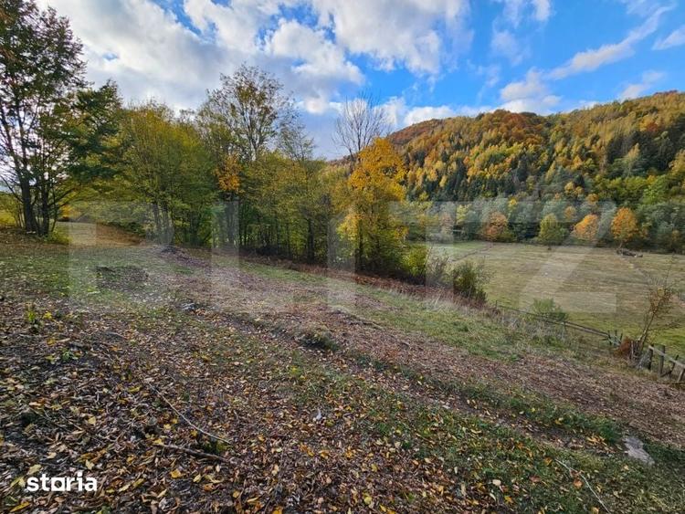 Teren de 2710 mp, în Vidra