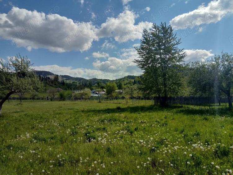 Teren intravilan la munte, in Nereju, Vrancea - 10