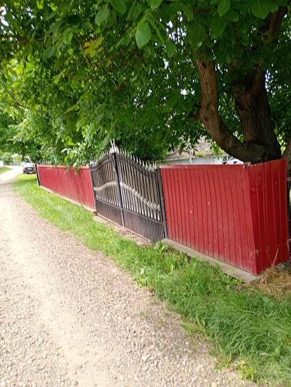 Casă cu 2 camere în Sarafinești