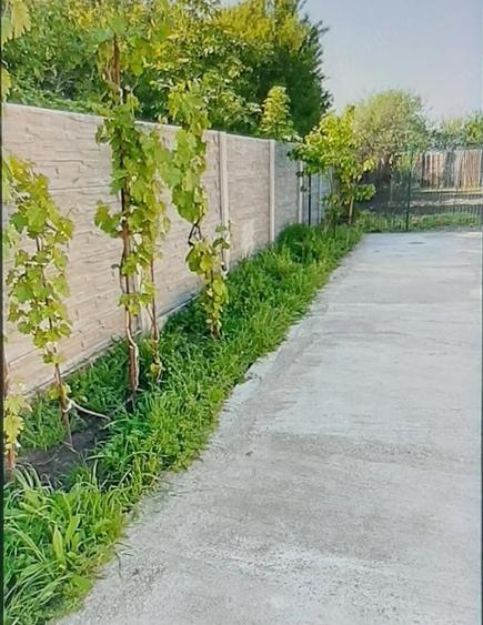 Proprietar vand casa noua 2024 in zona Ronat - 5