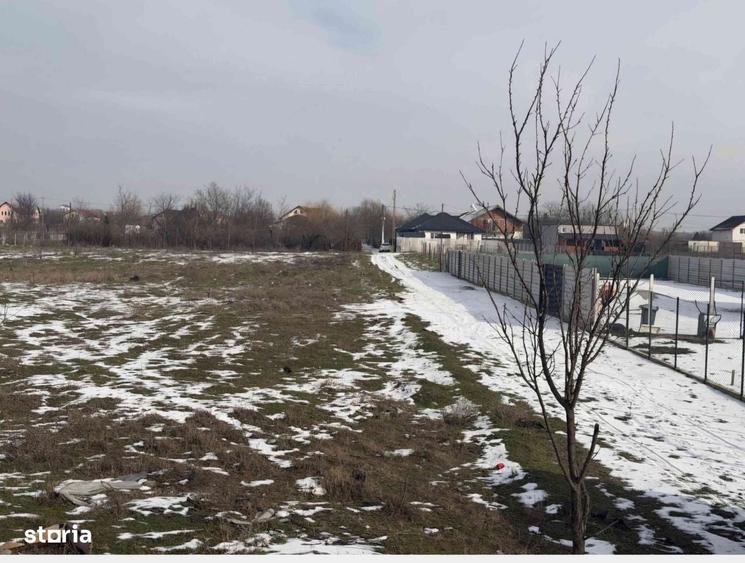 Spațiu comercial, în Malu Mare