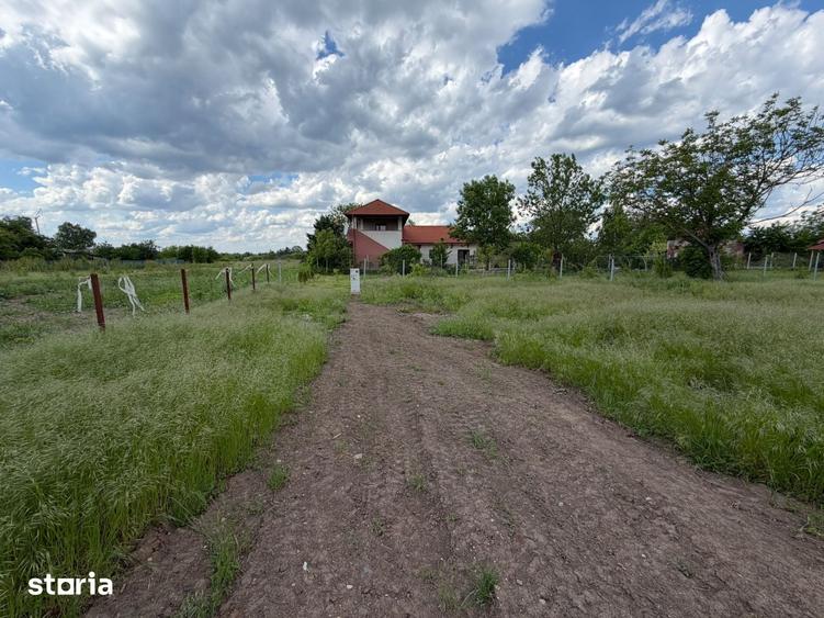 Teren de 1031 mp, în Snagov