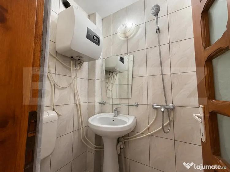 Garsonieră în Lotrului