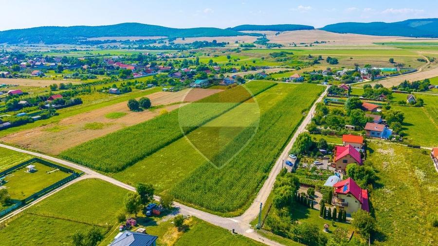 Teren Construcții intravilan de 10800 mp, în Podu Oltului