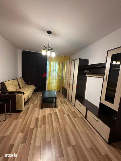 Inchiriere Apartament cu 2 camere Tatarasi- PET FRIENDLY - 7
