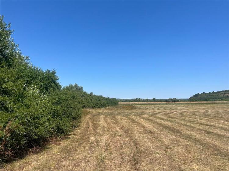 Teren agricol extravilan de 27400 mp, în Holod