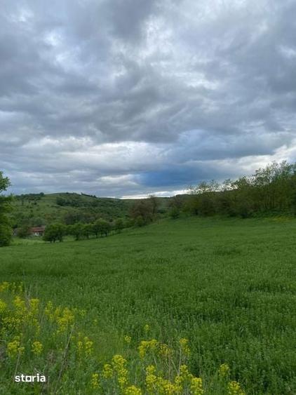 Teren de 15000 mp, în Moldovenești