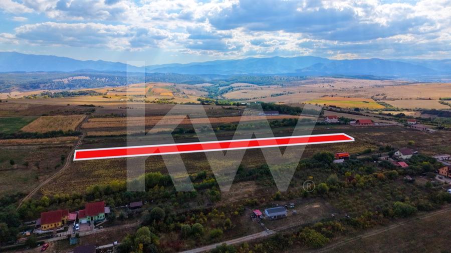 Teren agricol extravilan de 5000 mp, în Daia