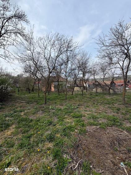 Casă cu 2 camere cu Teren 2400 Mp în Chinteni