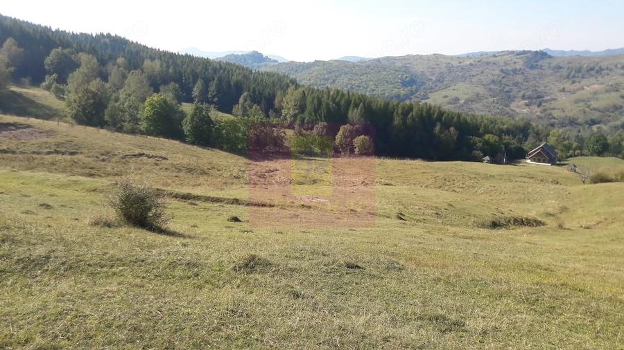 Teren de 9037 mp, în Central