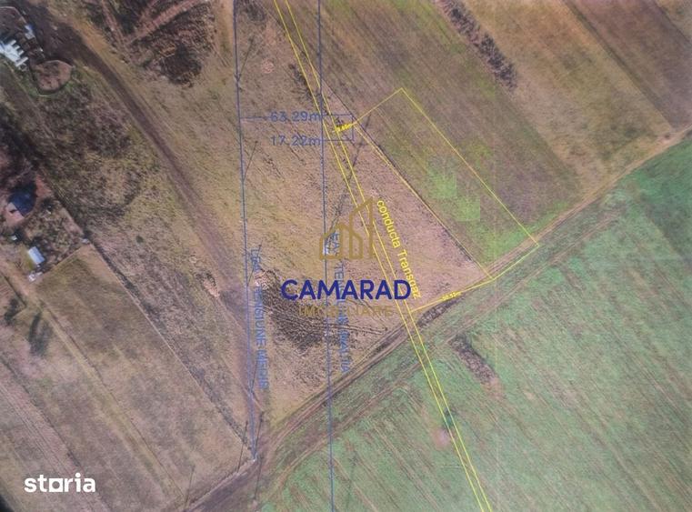 TEREN INTRAVILAN 3.870 MP BUFTEA | ZONA TAMASI | FRONT STRADAL 32 - 4