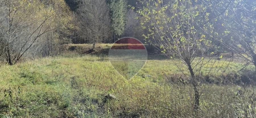 Teren de 2800 mp, în Schitu Tarcău