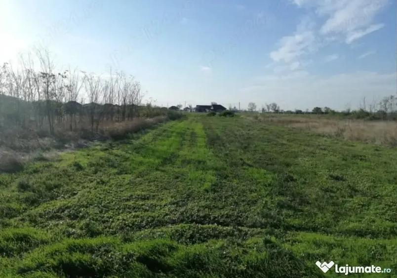 Teren de 1312 mp, în Vasile Alecsandri