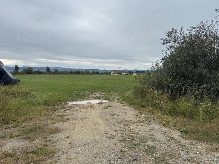 Teren 7630 mp langa Baia Mare Sacalaseni ideal investi?ie parcelare dezvoltare - 5