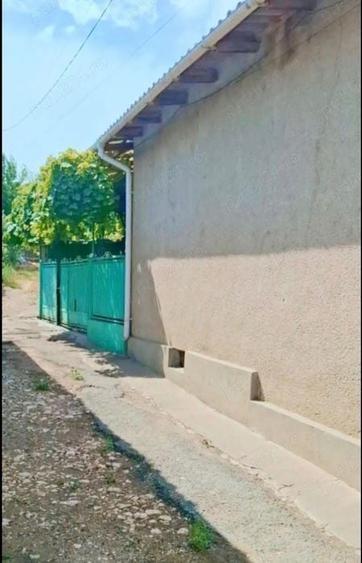 Casă cu 4 camere cu Teren 2417 Mp în Central
