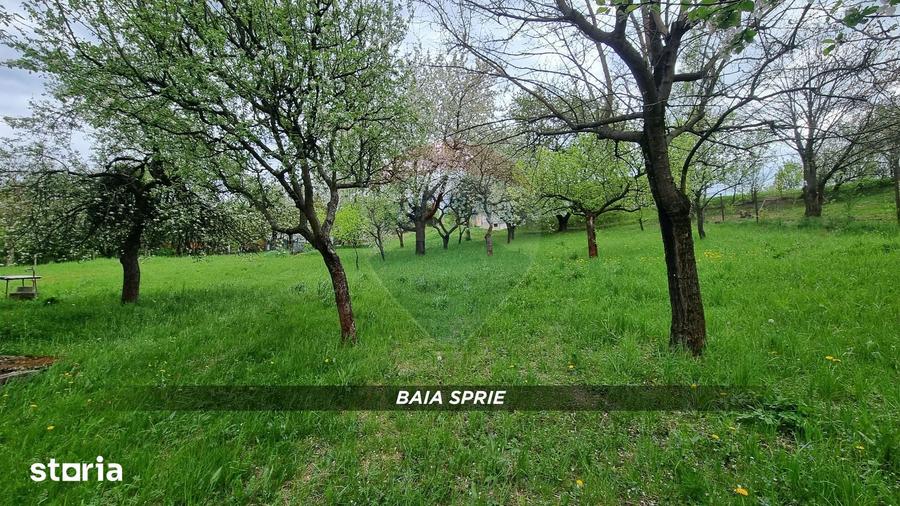 Teren de 1766 mp, în Central
