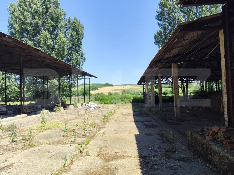 Teren Construcții intravilan de 32000 mp, în Răducăneni