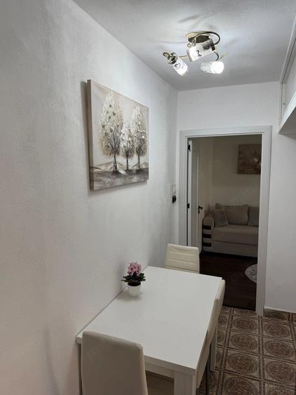 Apartament Doua Camere Calea Girocului - 10