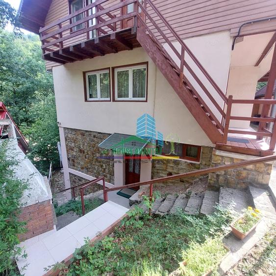 Spațiu comercial, de 450 mp, în Lepșa