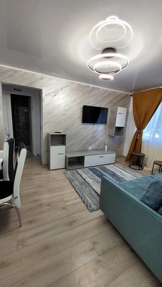 Apartament cu 2 camere semidecomandat, mobilat în Viziru 1