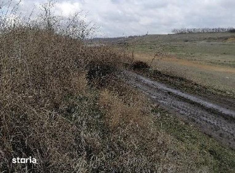 Teren de 7466 mp, în Țigănași