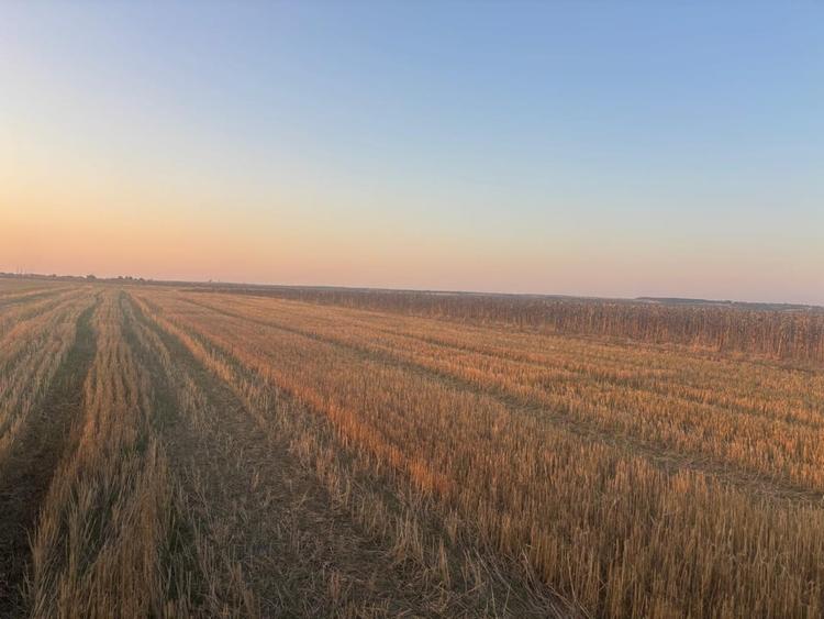 Teren agricol extravilan de 5000 mp, în Malu Mare