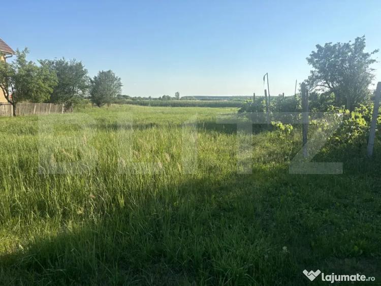 Teren intravilan de vanzare in Cionche?ti 13,3 ari , - 3