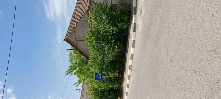 Casă cu 4 camere în Murighiol