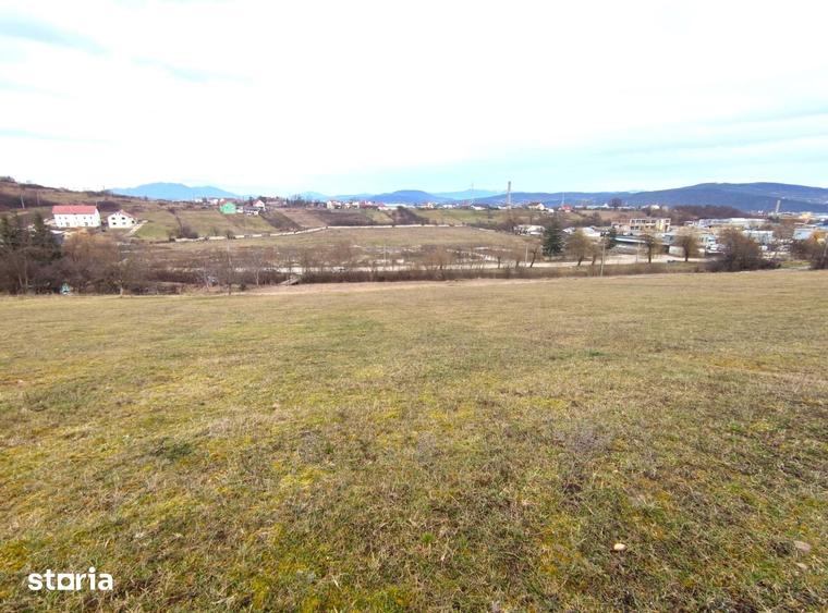 Teren de 6000 mp, în Nord