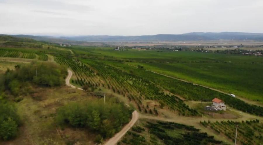 Teren intravilan de 1000 mp, în Est