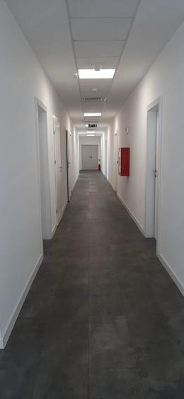 Spațiu comercial, de 100 mp, în Șagului