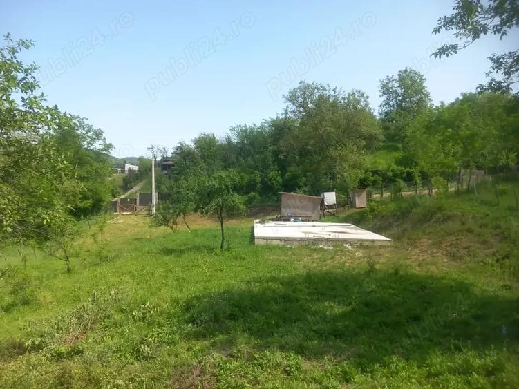 Teren de 2225 mp, în Provița de Jos