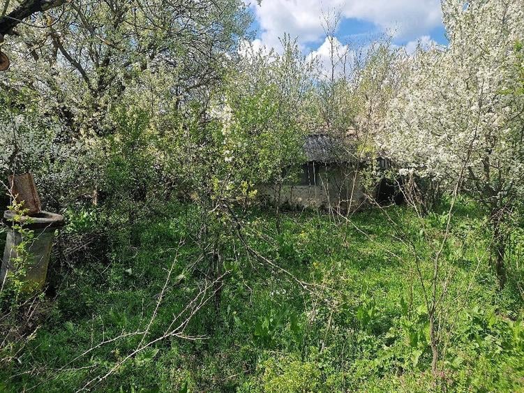 Teren de 3800 mp, în Moșteni
