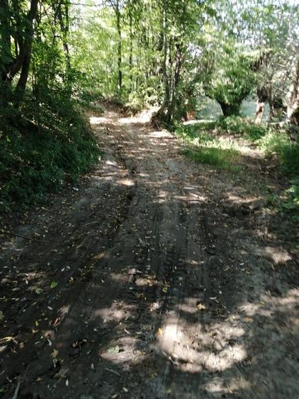 Teren de 1600 mp, în Cacica