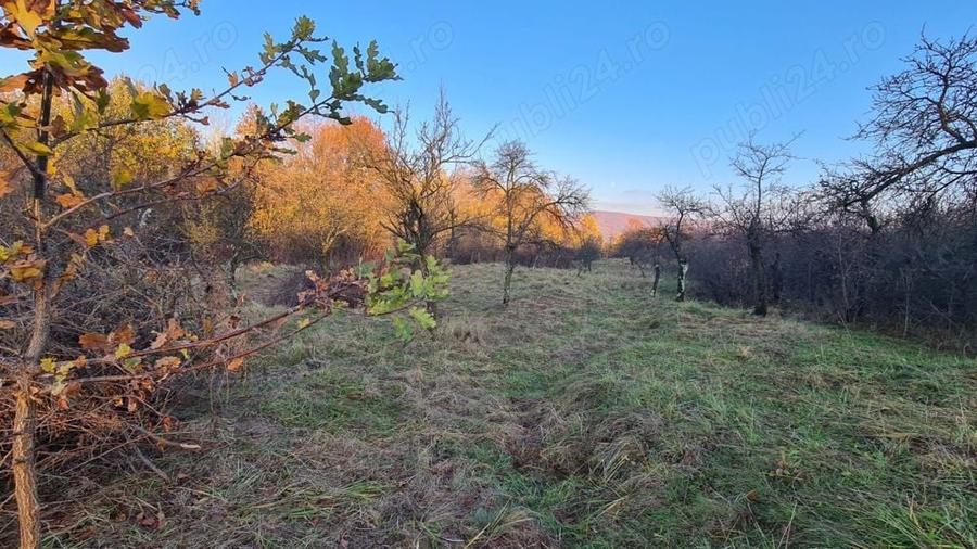 Teren de 8800 mp, în Băiculești