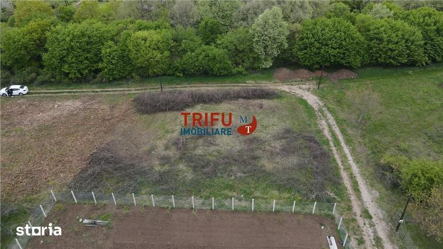 Teren de 884 mp, în Cetate