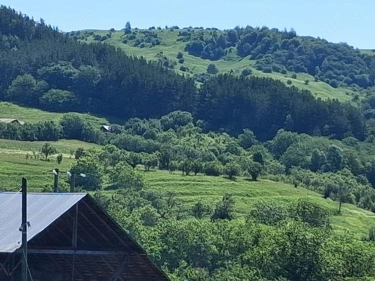 Teren de 5000 mp, în Chiojdu