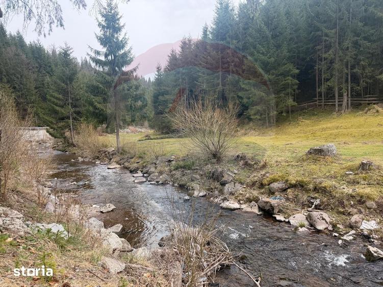 Teren de 4331 mp, în Arieșeni