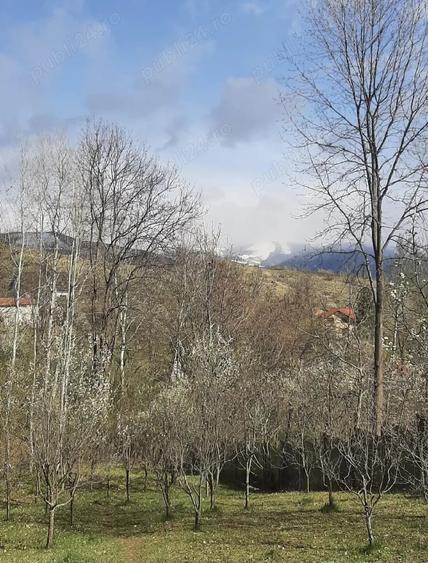 Teren de 873 mp, în Central